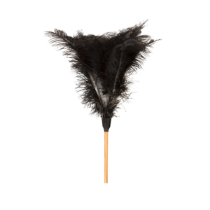 Feather Duster